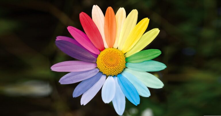 giornatamondialecontroomofobia