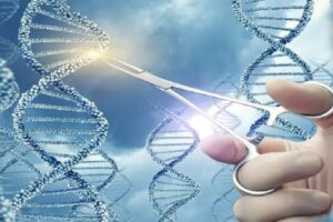 new gmos nuovi ogm new breeding techniques