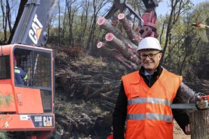bosco urbano di pietralata roma gualtieri stadio compensazioni ambientali