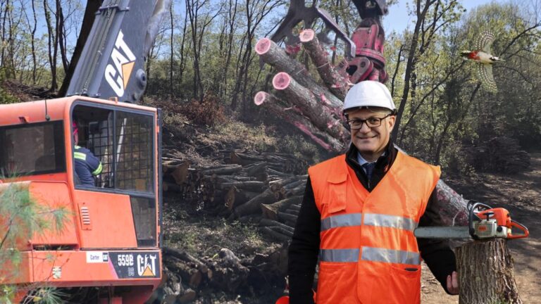 bosco urbano di pietralata roma gualtieri stadio compensazioni ambientali