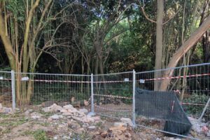 alberi abbattuti a roma gualtieri villa ada cancello