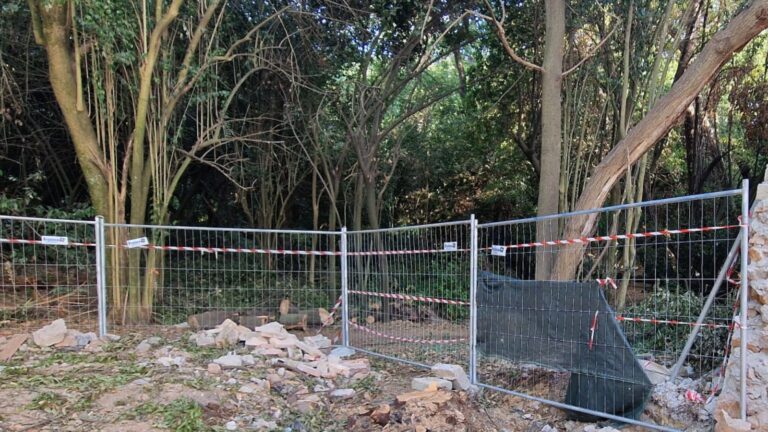 alberi abbattuti a roma gualtieri villa ada cancello
